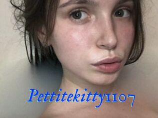 Pettitekitty1107