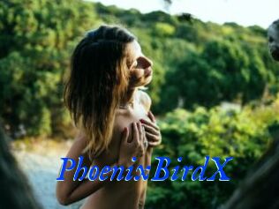 PhoenixBirdX