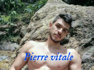 Pierre_vitale