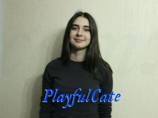 PlayfulCate