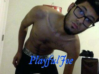 PlayfulJoe