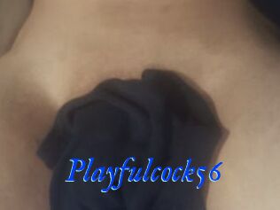 Playfulcock56