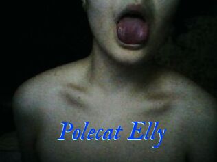 Polecat_Elly