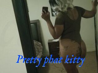 Pretty_phat_kitty