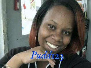 Pudd123