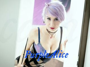 Purple_Alice