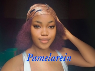 Pamelarein