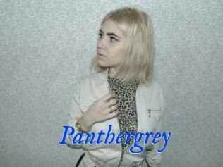 Panthergrey