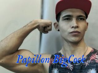 Papillon_BigCock