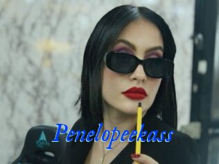 Penelopeekass