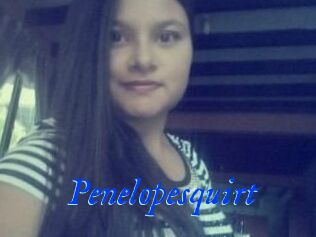 Penelopesquirt
