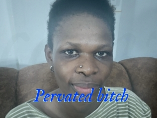 Pervated_bitch