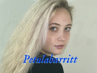 Petulabarritt