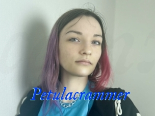 Petulacrammer