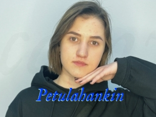 Petulahankin