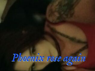 Phoenix_rose_again