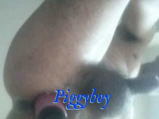 Piggyboy