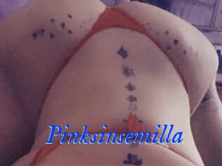 Pinksinsemilla