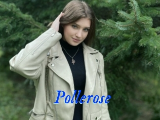 Pollerose