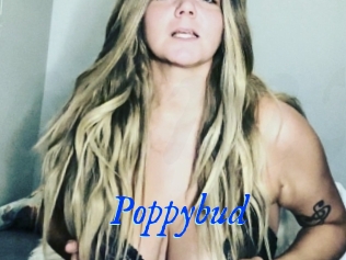 Poppybud