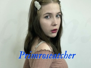 Primroseatcher