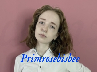 Primrosebisbee