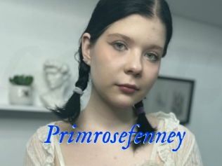 Primrosefenney