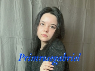 Primrosegabriel