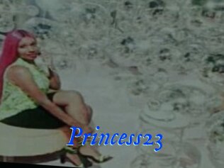 Princess23