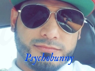 Psychobunny