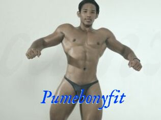 Pumebonyfit