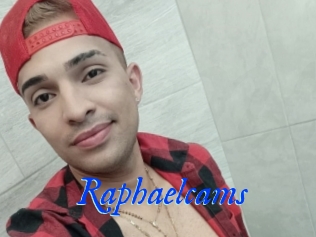 Raphaelcams