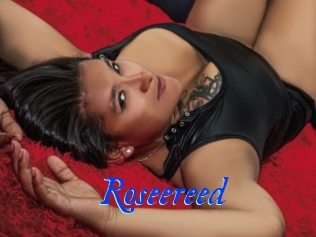 Roseereed