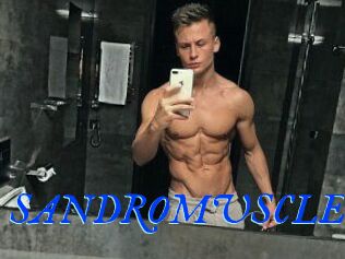 SANDRO_MUSCLE