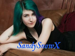 SandySnowX