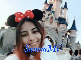 SanemMi Cam XL