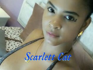 Scarlett_Cat