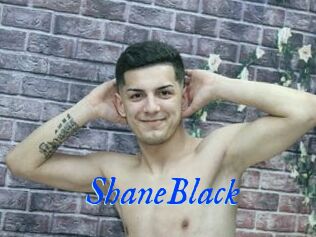 ShaneBlack