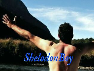 ShelodonBoy