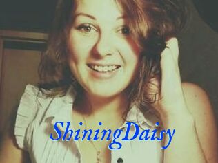 ShiningDaisy