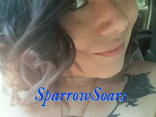 SparrowSoars