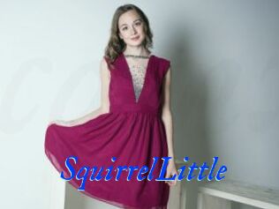 SquirrelLittle