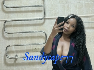 Sandycape77