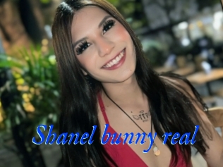 Shanel_bunny_real