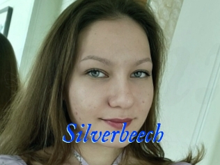 Silverbeech