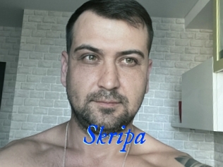 Skripa