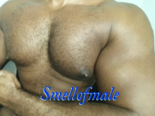 Smellofmale