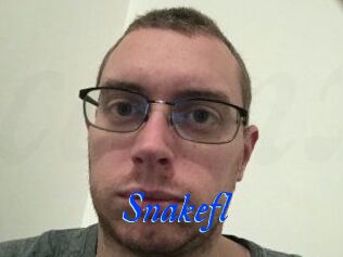 Snakefl