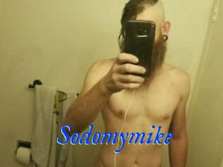 Sodomymike