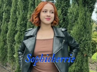 Sophicherrie